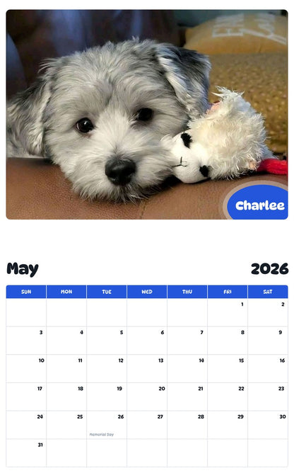 2026 - 2027 Charlee - Pawidols Pet Calendar