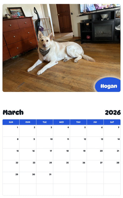 November 2025 - October 2026 Hogan - Pawidols Pet Calendar