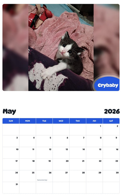 2026 - 2027 Crybaby - Pawidols Pet Calendar