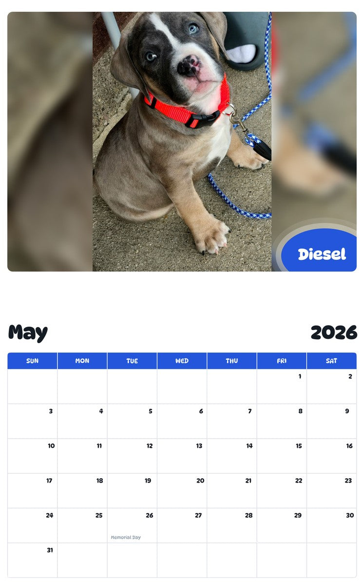 2026 - 2027 Diesel - Pawidols Pet Calendar