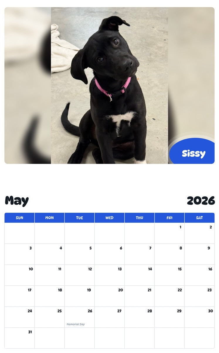 2026 - 2027 Sissy - Pawidols Pet Calendar
