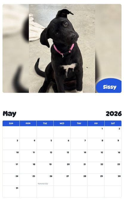 2026 - 2027 Sissy - Pawidols Pet Calendar