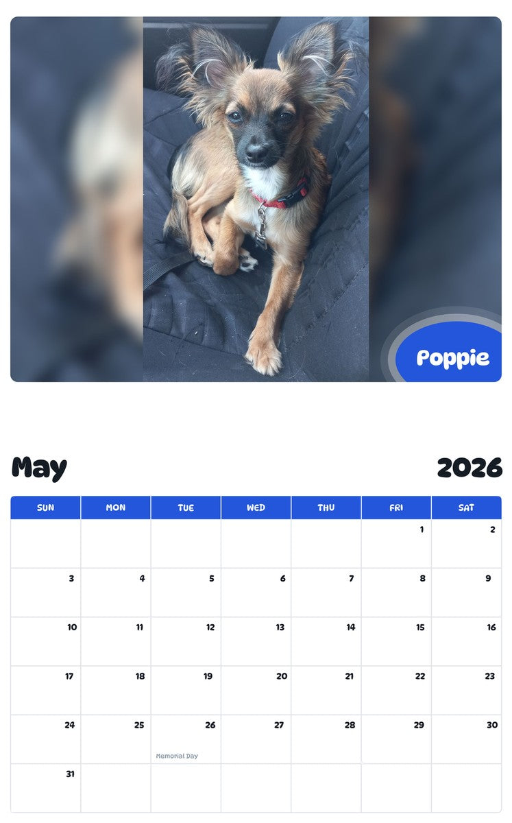 2026 - 2027 Poppie - Pawidols Pet Calendar