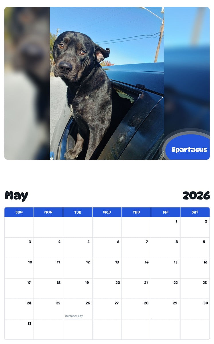 2026 - 2027 Spartacus - Pawidols Pet Calendar