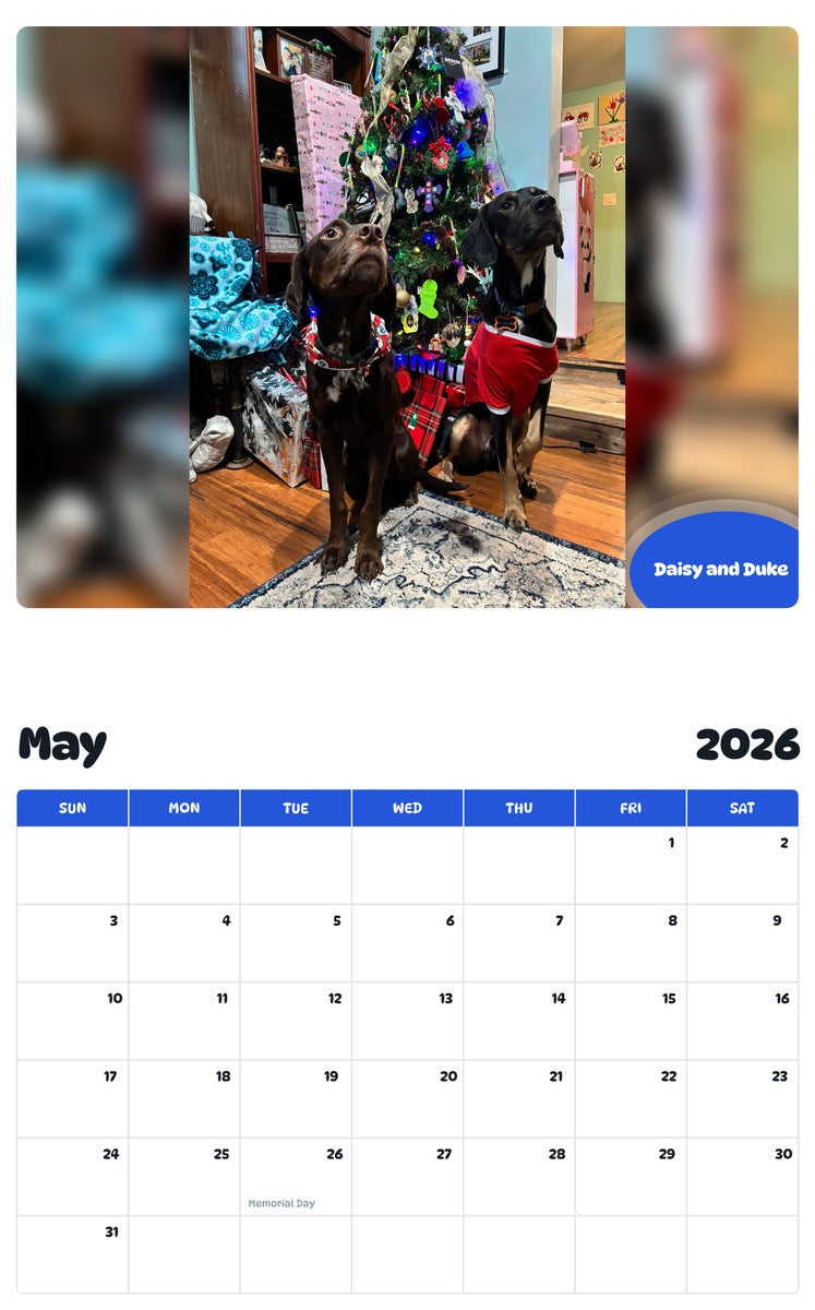 2026 - 2027 Daisy and Duke - Pawidols Pet Calendar