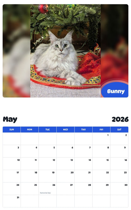 2026 - 2027 Bunny - Pawidols Pet Calendar