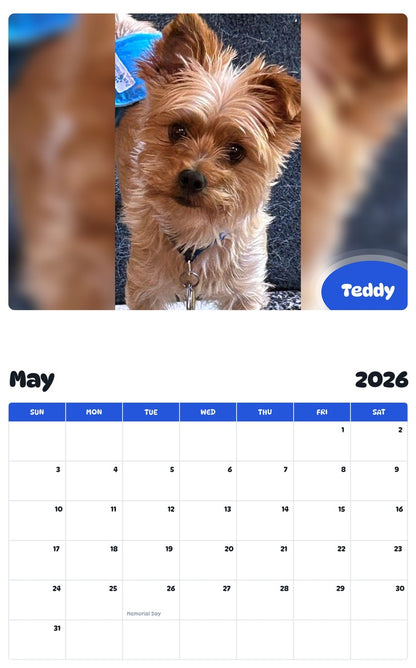 2026 - 2027 Teddy - Pawidols Pet Calendar