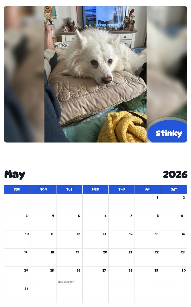 2026 - 2027 Stinky - Pawidols Pet Calendar