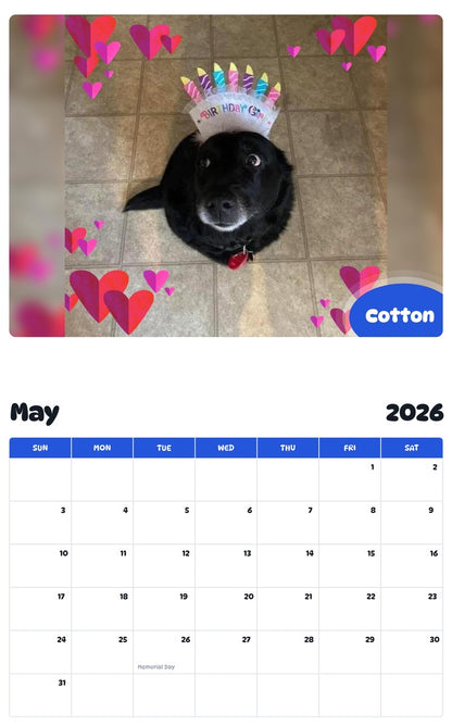 2026 - 2027 Cotton - Pawidols Pet Calendar