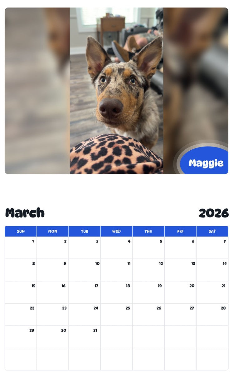 November 2025 - October 2026 Maggie - Pawidols Pet Calendar