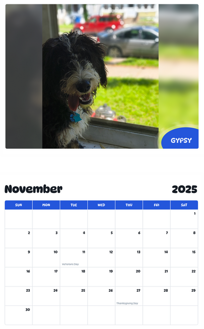 July 2025 - June 2026 Gypsy - Pawidols Pet Calendar