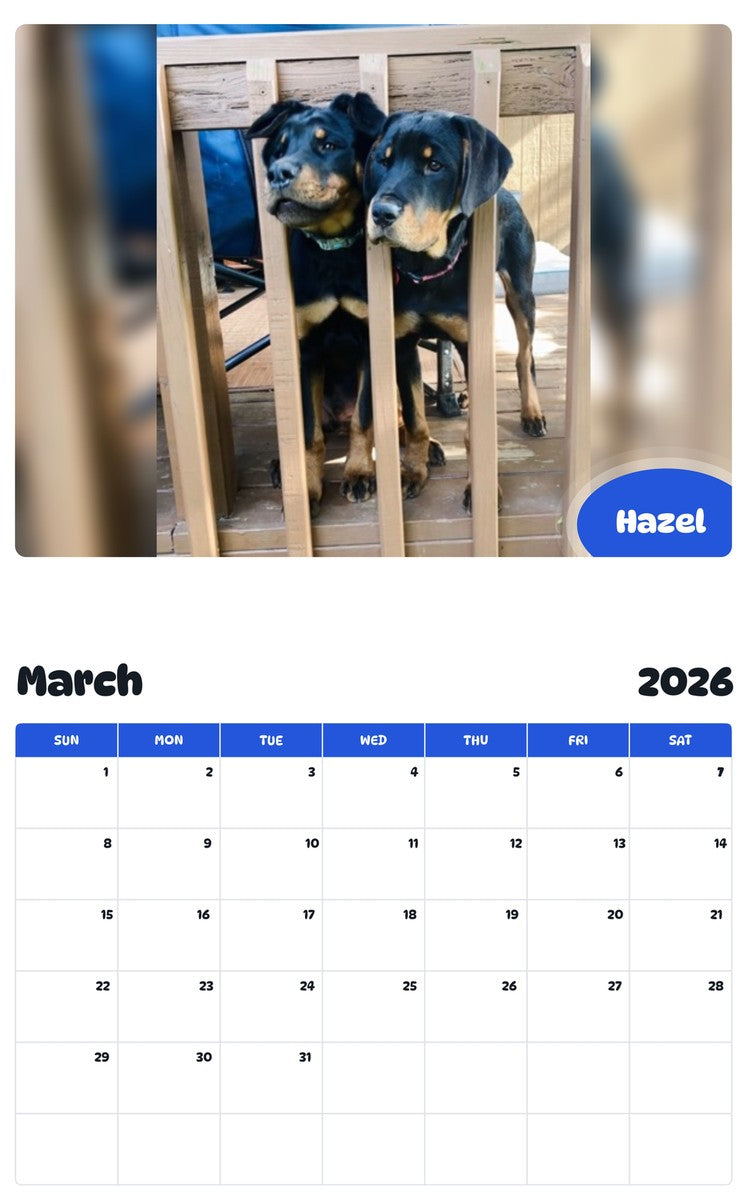 November 2025 - October 2026 Hazel - Pawidols Pet Calendar