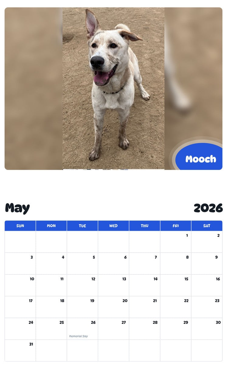 2026 - 2027 Mooch - Pawidols Pet Calendar