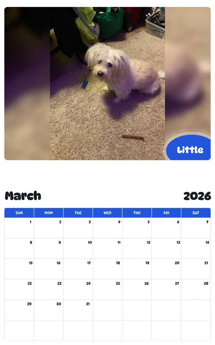 November 2025 - October 2026 Little - Pawidols Pet Calendar