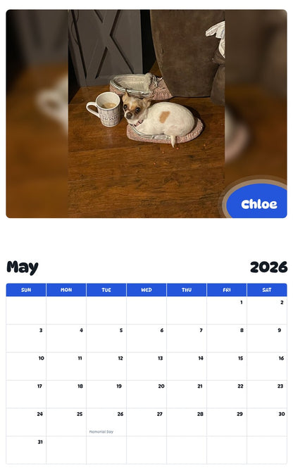 2026 - 2027 Chloe - Pawidols Pet Calendar