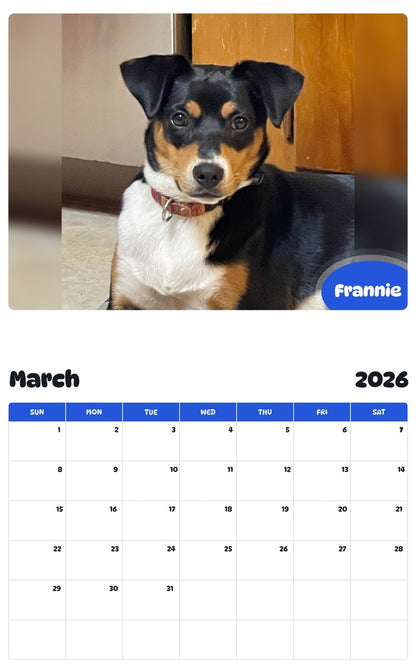 November 2025 - October 2026 Frannie - Pawidols Pet Calendar