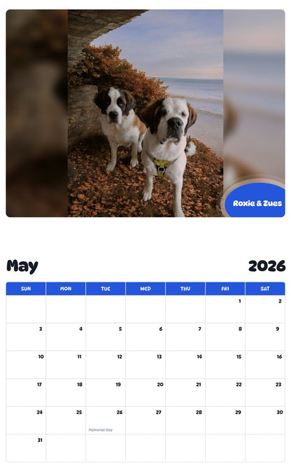 2026 - 2027 Roxie & Zues - Pawidols Pet Calendar