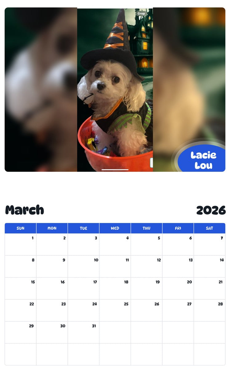 November 2025 - October 2026 Lacie Lou - Pawidols Pet Calendar