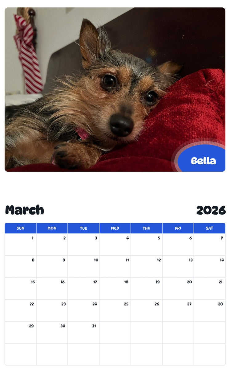 November 2025 - October 2026 Bella - Pawidols Pet Calendar