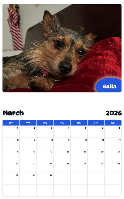 November 2025 - October 2026 Bella - Pawidols Pet Calendar