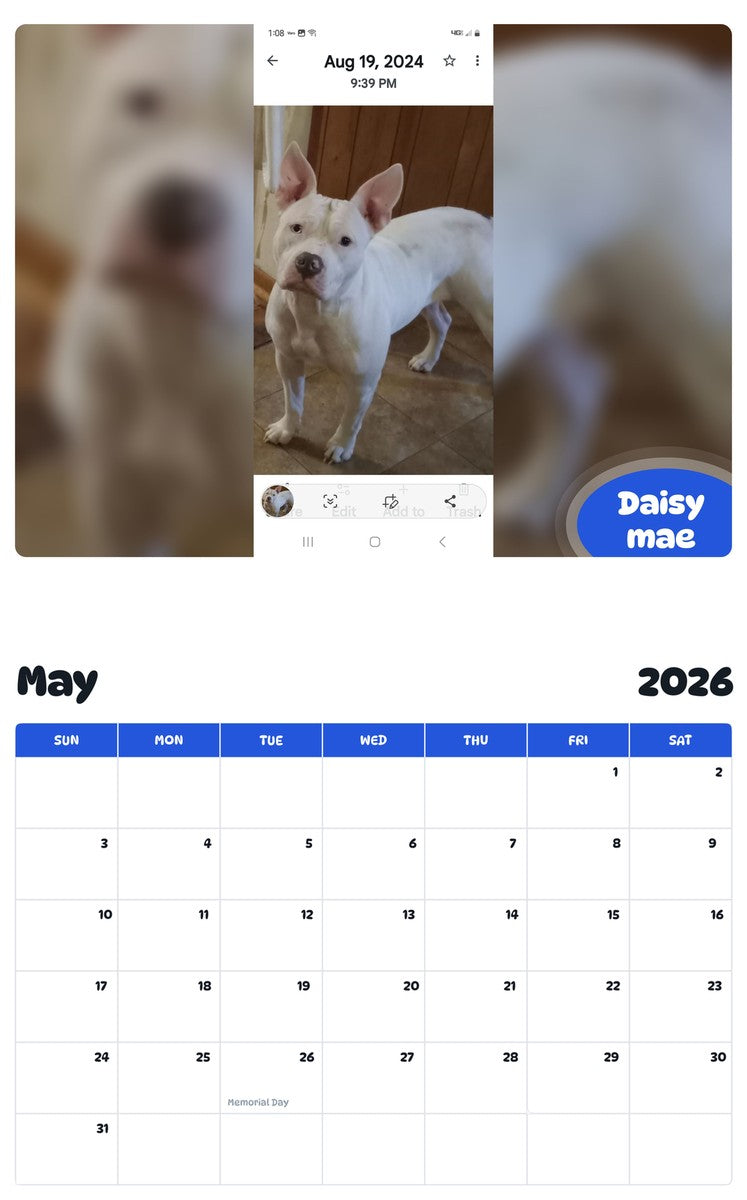 2026 - 2027 Daisy mae - Pawidols Pet Calendar