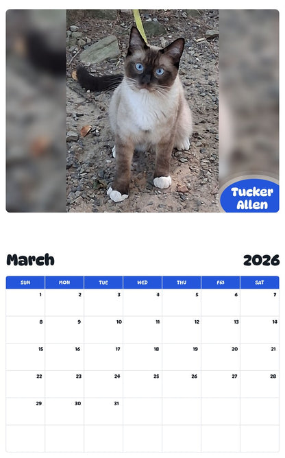 November 2025 - October 2026 Tucker Allen - Pawidols Pet Calendar