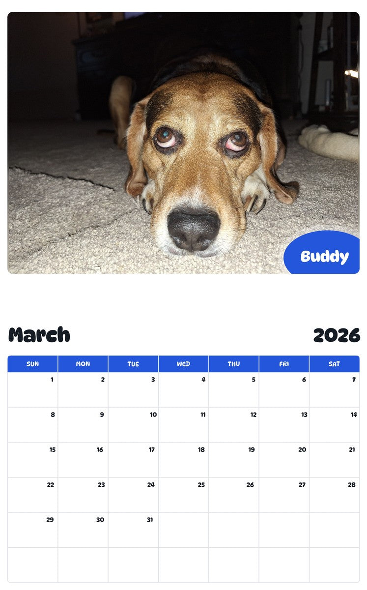 November 2025 - October 2026 Buddy - Pawidols Pet Calendar