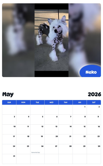 2026 - 2027 Neko - Pawidols Pet Calendar