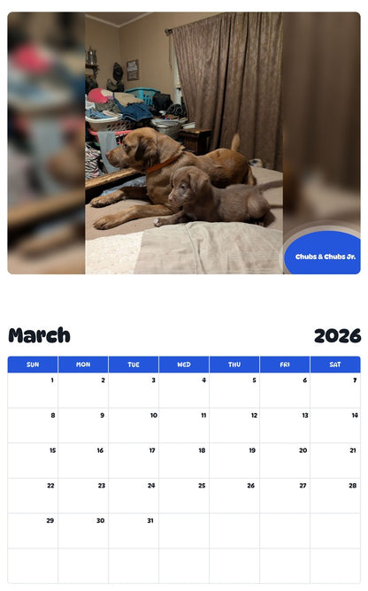 November 2025 - October 2026 Chubs & Chubs Jr. - Pawidols Pet Calendar