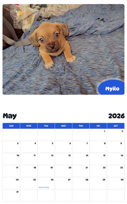 2026 - 2027 Myilo - Pawidols Pet Calendar