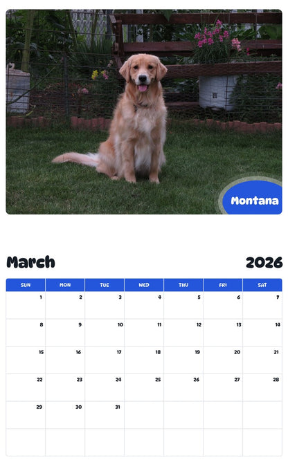 November 2025 - October 2026 Montana - Pawidols Pet Calendar