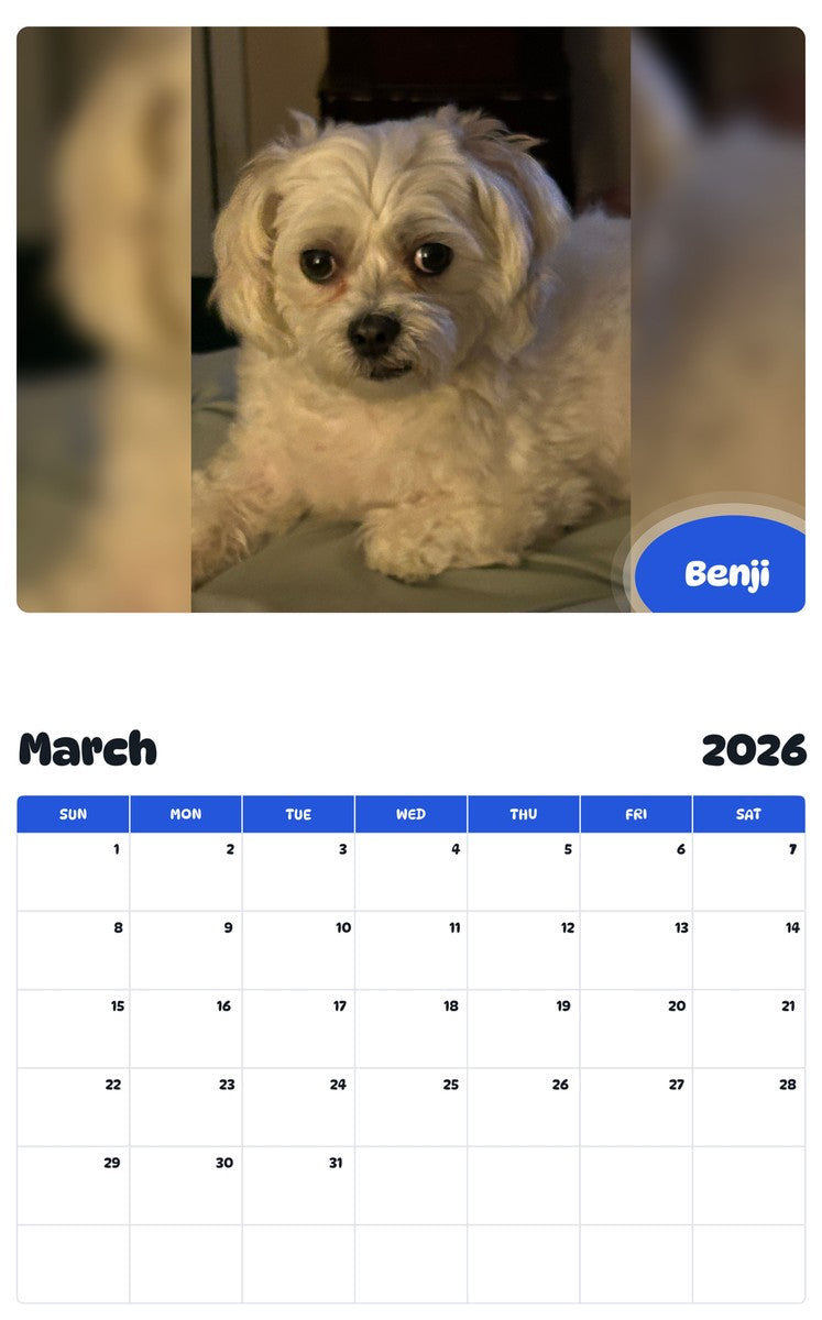 November 2025 - October 2026 Benji - Pawidols Pet Calendar