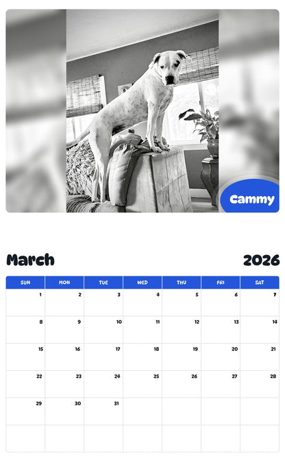 November 2025 - October 2026 Cammy - Pawidols Pet Calendar