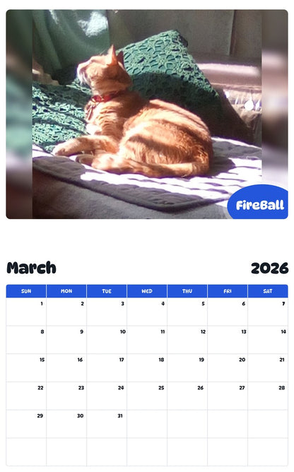 November 2025 - October 2026 FireBall - Pawidols Pet Calendar