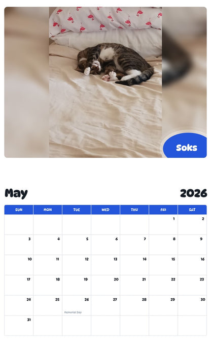2026 - 2027 Soks - Pawidols Pet Calendar
