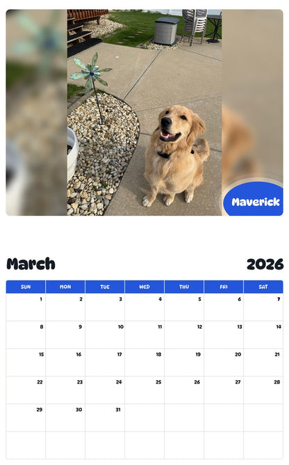 November 2025 - October 2026 Maverick - Pawidols Pet Calendar