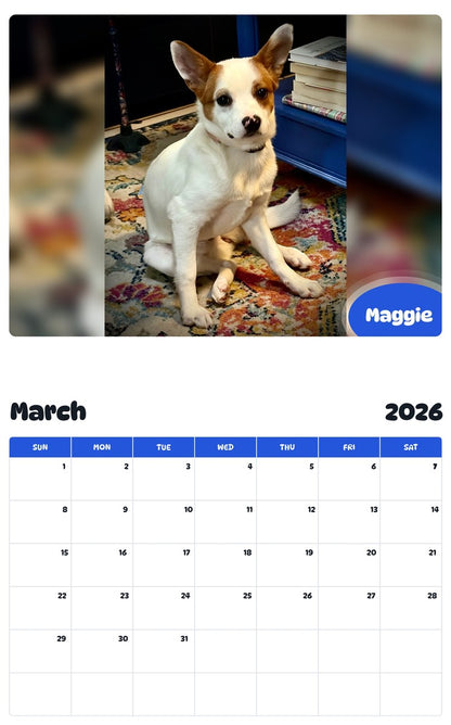 November 2025 - October 2026 Maggie - Pawidols Pet Calendar
