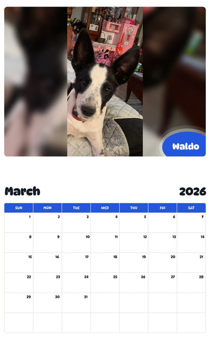 November 2025 - October 2026 Waldo - Pawidols Pet Calendar