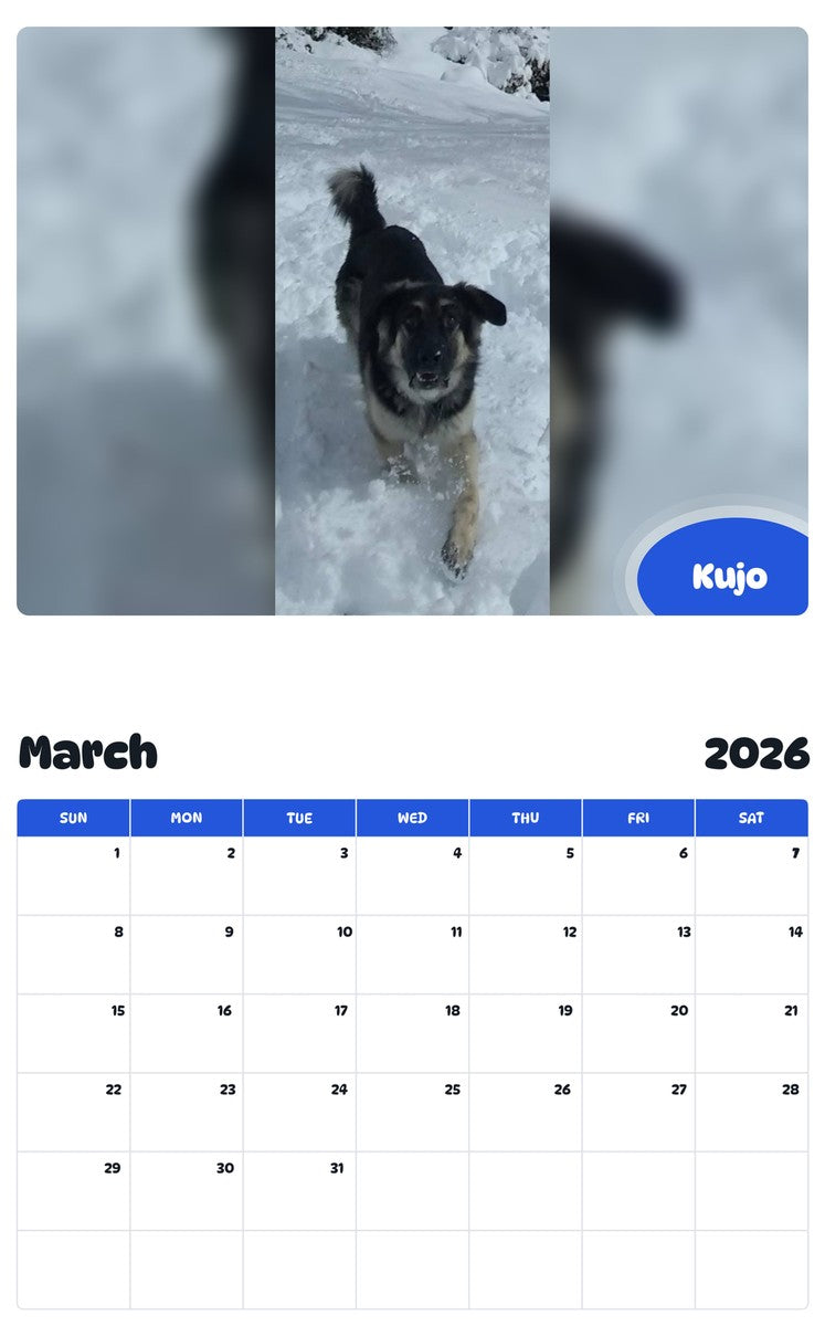 November 2025 - October 2026 Kujo - Pawidols Pet Calendar