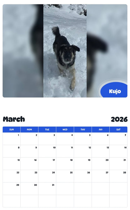 November 2025 - October 2026 Kujo - Pawidols Pet Calendar