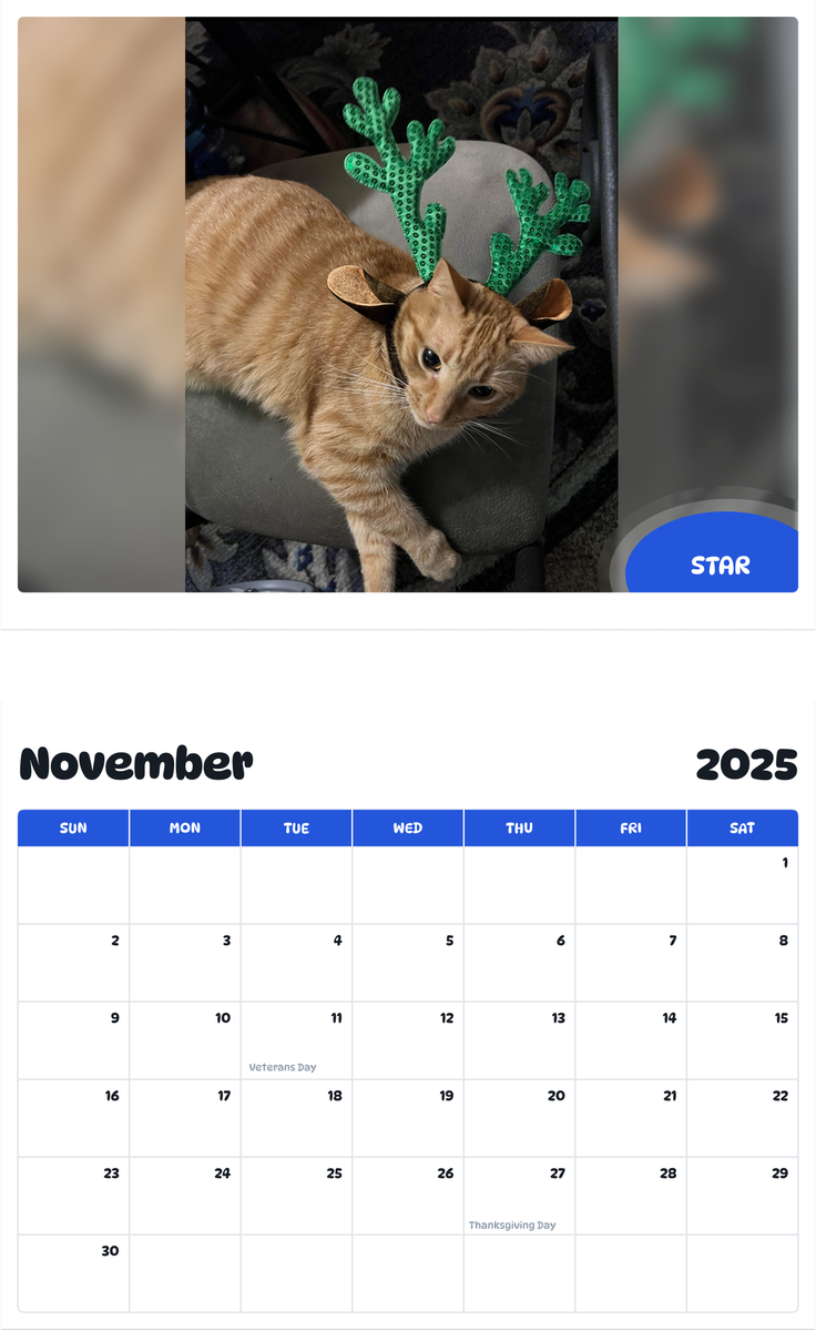July 2025 - June 2026 Star - Pawidols Pet Calendar