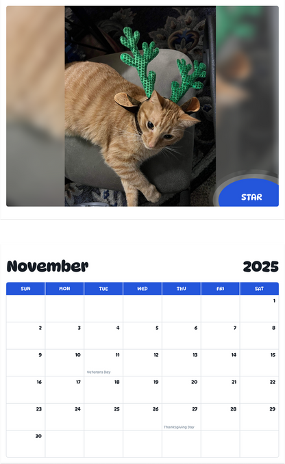 July 2025 - June 2026 Star - Pawidols Pet Calendar