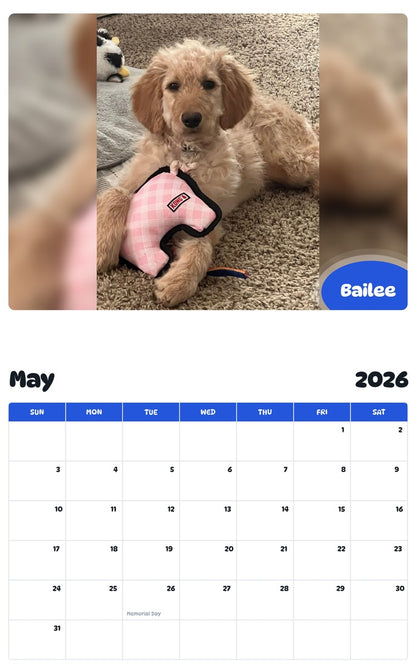 2026 - 2027 Bailee - Pawidols Pet Calendar