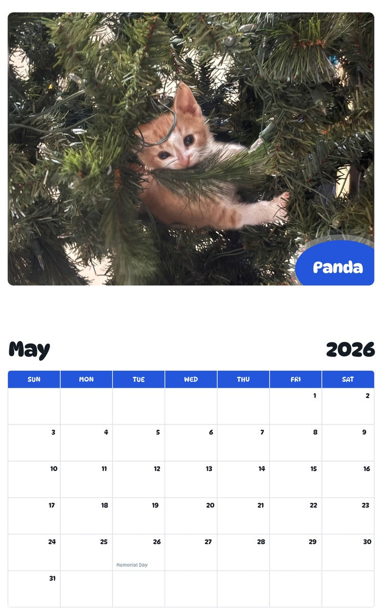 2026 - 2027 Panda - Pawidols Pet Calendar