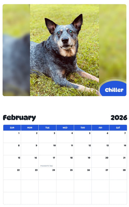October 2025 - September 2026 Chiller - Pawidols Pet Calendar