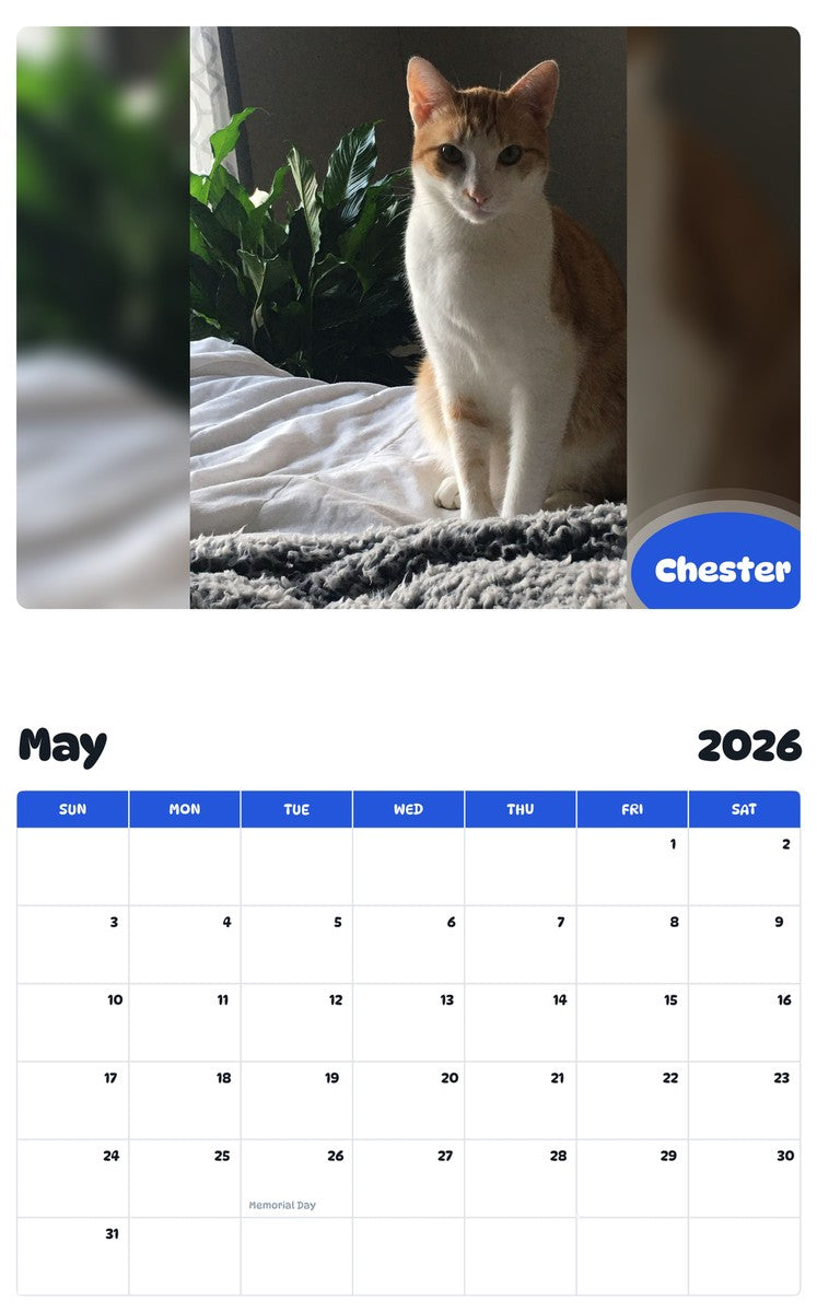 2026 - 2027 Chester - Pawidols Pet Calendar