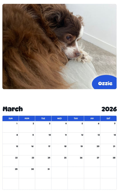 November 2025 - October 2026 Ozzie - Pawidols Pet Calendar