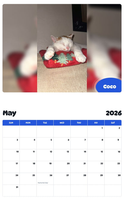 2026 - 2027 Coco - Pawidols Pet Calendar