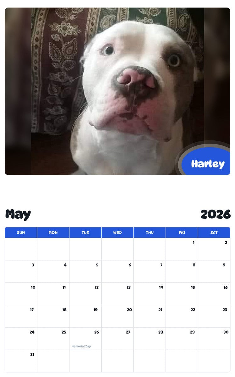 2026 - 2027 Harley - Pawidols Pet Calendar
