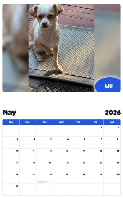 2026 - 2027 Lili - Pawidols Pet Calendar